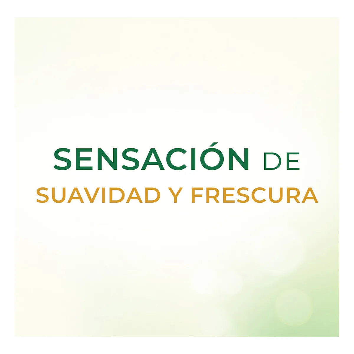 Jabón Savilé Extracto de Sábila y Agua de Coco 135g × 12 pzs