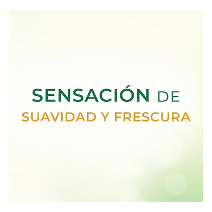 Jabón Savilé Extracto de Sábila y Agua de Coco 135g × 12 pzs